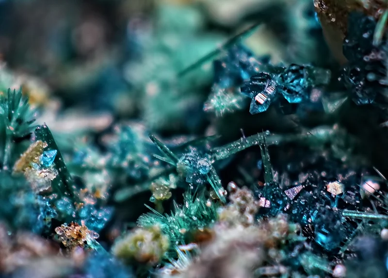 Spangolite and brochantite crystals from the Blanchard Mine, New Mexico.