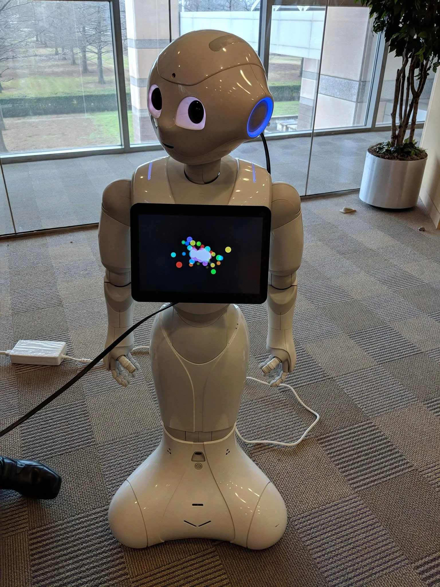 Pepper, the humanoid robot, during a visit to IBM in Austin.