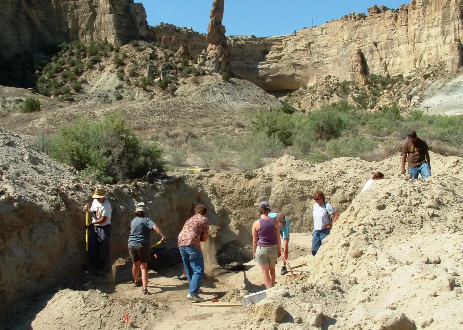 Field-school participants working in an excavation beneath tall New Mexico canyon walls.